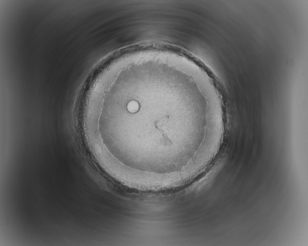X0000088420832200706191214