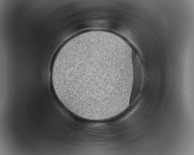 X0000088420837200706191214