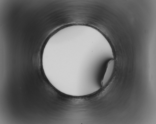 X0000088420838200706191214