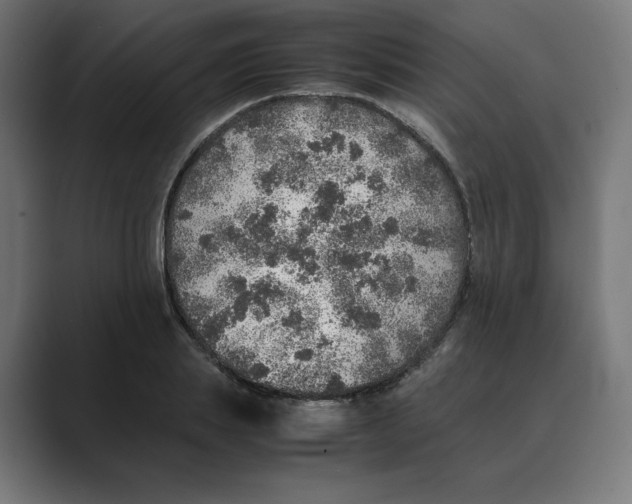 X0000088420839200706191214