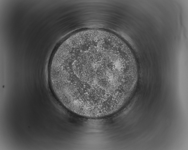 X0000088420840200706191214