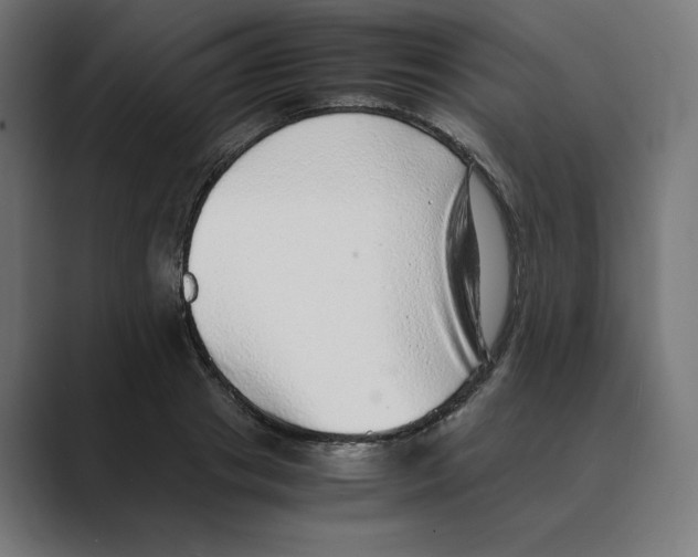 X0000088420841200706191214