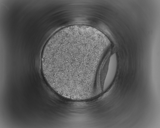 X0000088420844200706191214