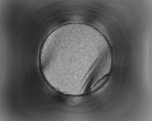 X0000088420845200706191214