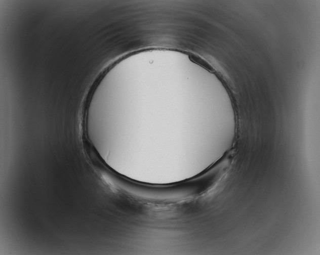 X0000088420846200706191214