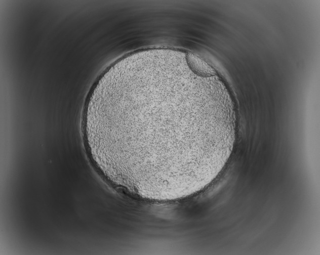 X0000088420847200706191214