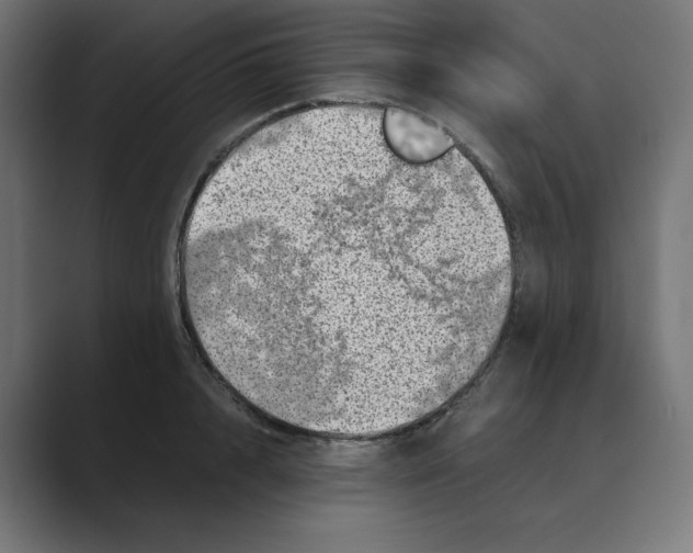 X0000088420848200706191214