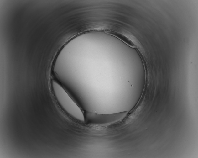 X0000088420850200706191214