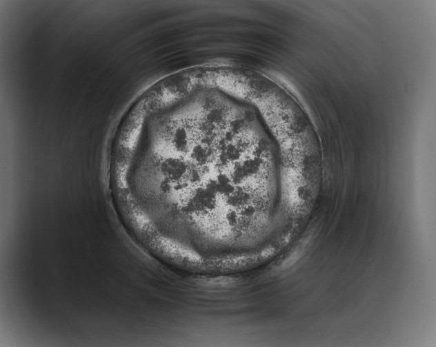 X0000088420851200706191214