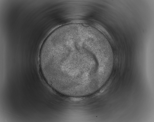 X0000088420852200706191214