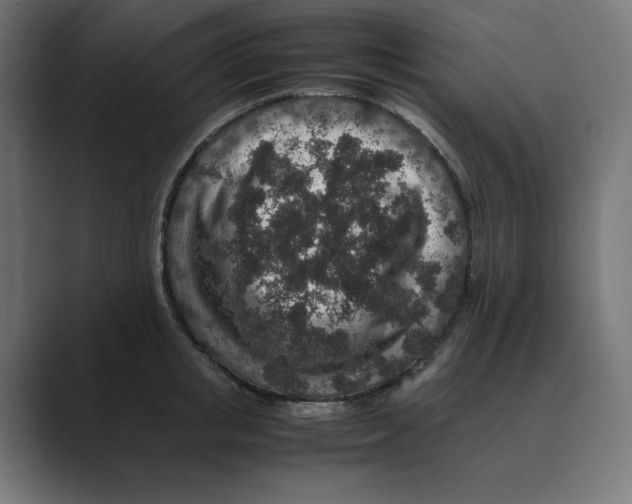 X0000088420853200706191214