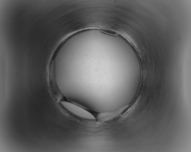 X0000088420854200706191214