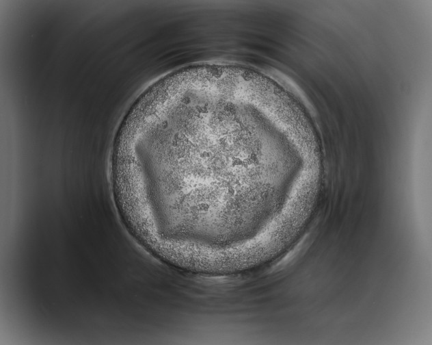 X0000088420855200706191214