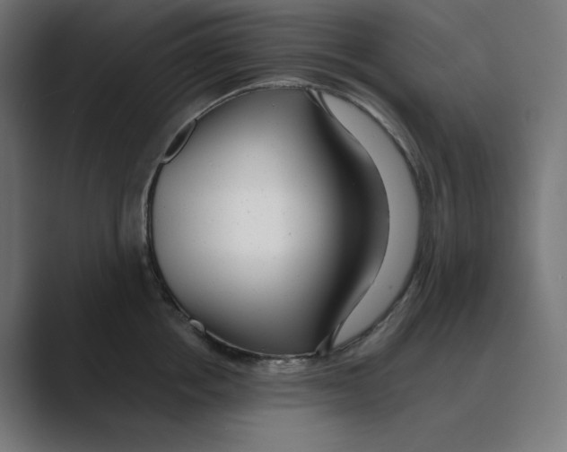 X0000088420858200706191215