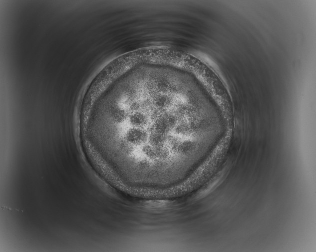 X0000088420859200706191215