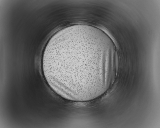 X0000088420861200706191215