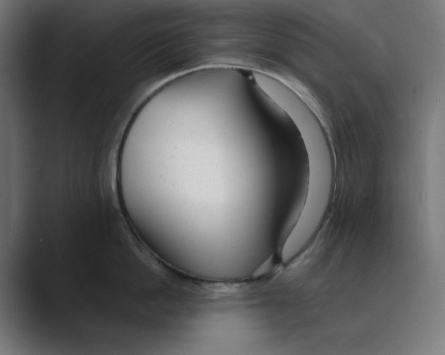 X0000088420862200706191215
