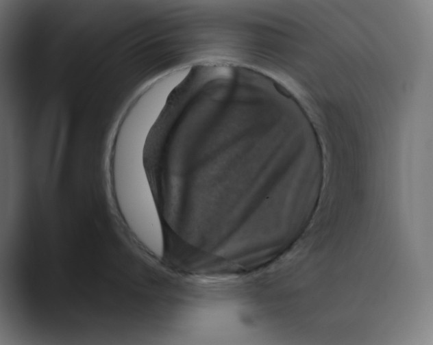 X0000088420864200706191215