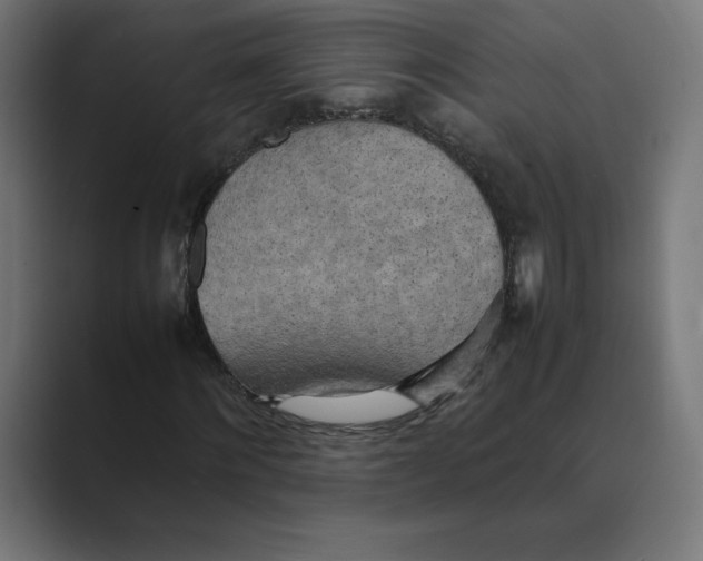 X0000088420868200706191214