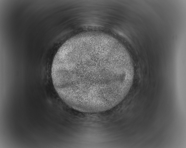X0000088420870200706191214