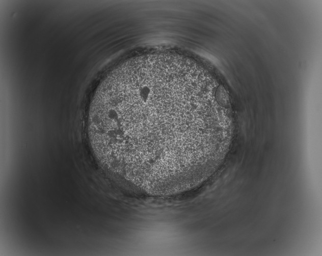 X0000088420871200706191214