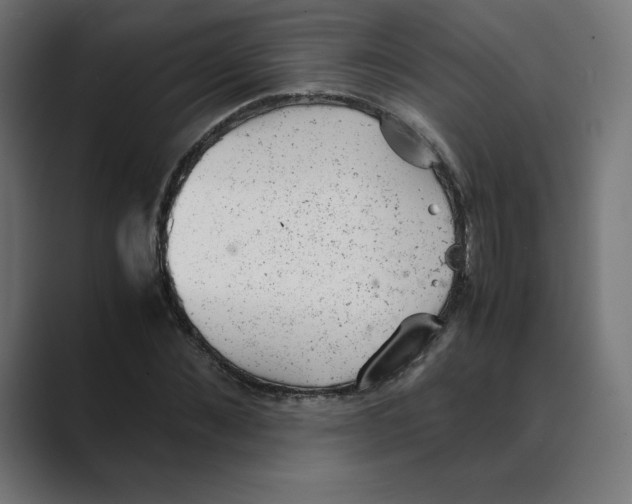 X0000088420876200706191214