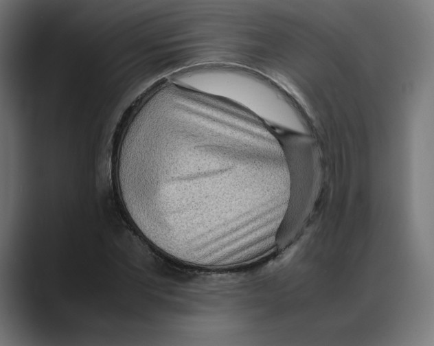 X0000088420877200706191214