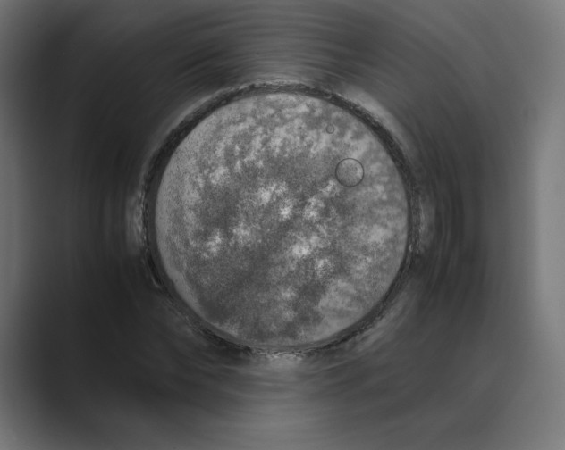 X0000088420878200706191214