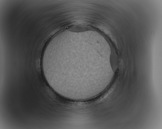 X0000088420881200706191214