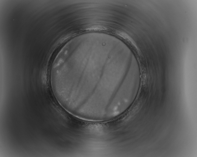 X0000088420882200706191214