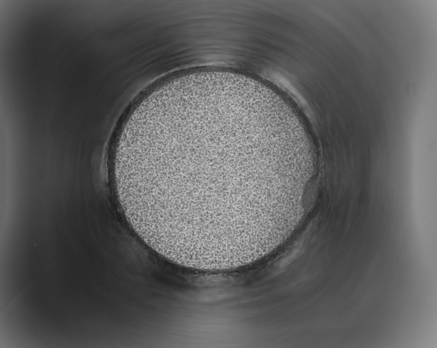 X0000088420883200706191214