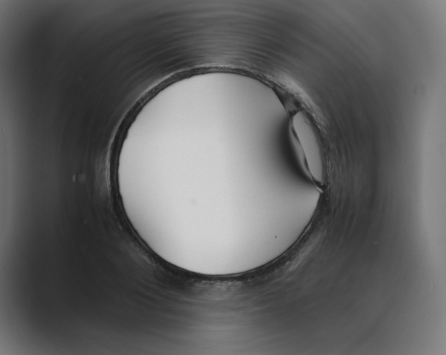 X0000088420884200706191214
