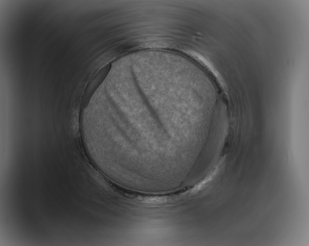 X0000088420889200706191214