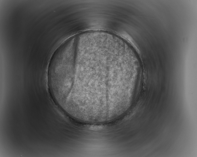 X0000088420890200706191214