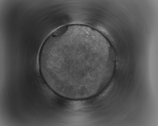 X0000088420892200706191214