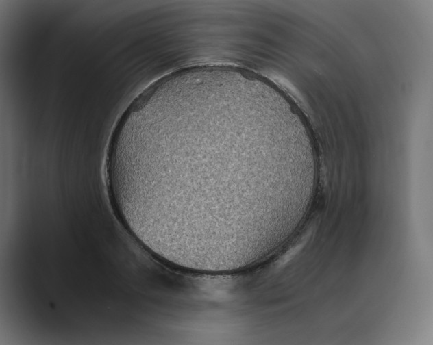 X0000088420893200706191214