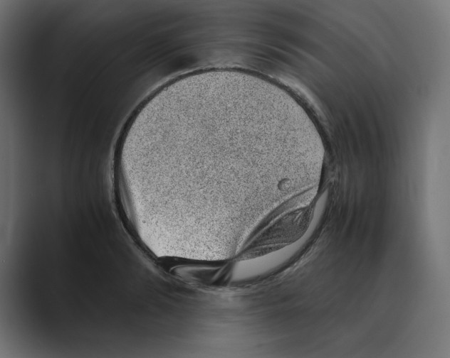 X0000088420894200706191214