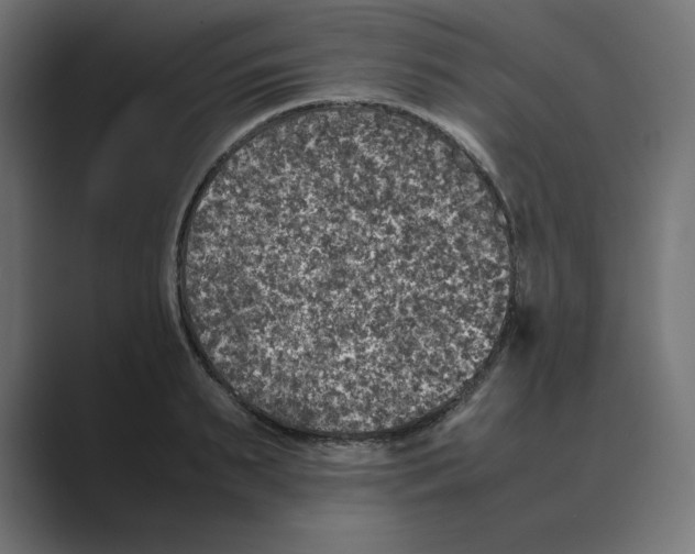 X0000088420895200706191214