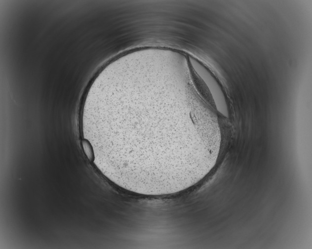 X0000088420896200706191214