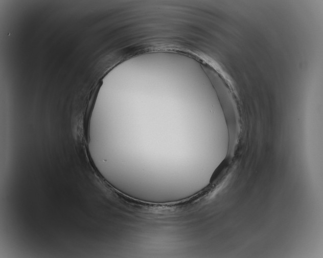 X0000088420897200706191214
