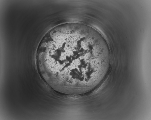 X0000088420899200706191214