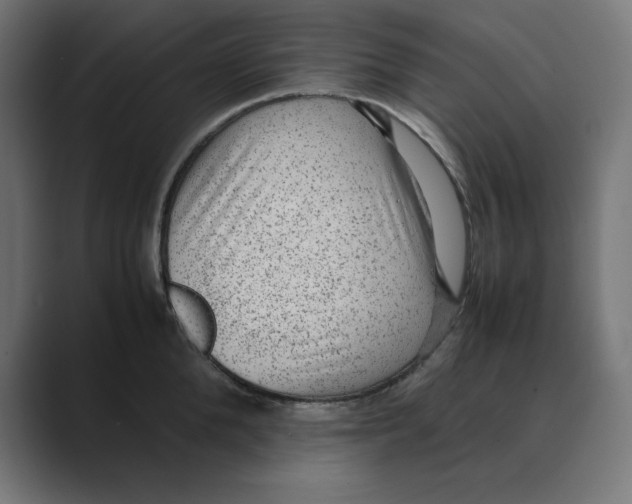 X0000088420904200706191214