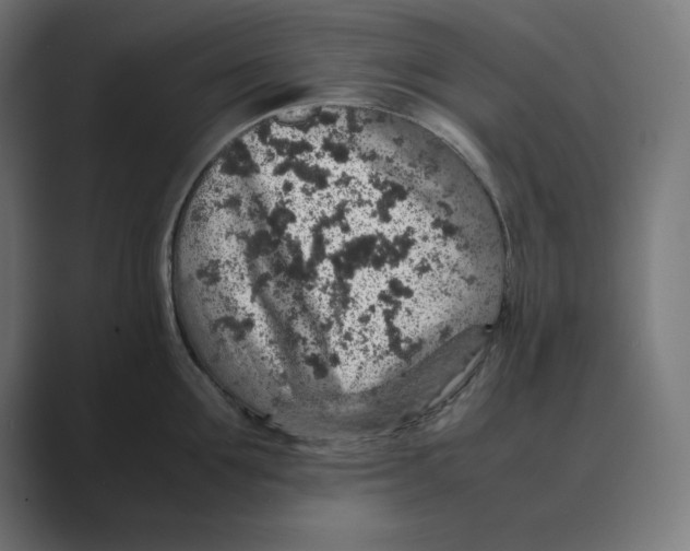 X0000088420907200706191214