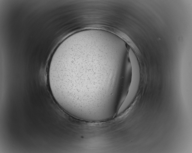 X0000088420908200706191214