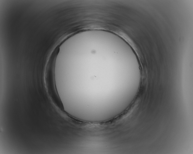 X0000088420909200706191214