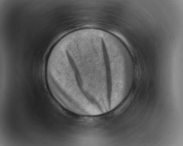 X0000088420910200706191214