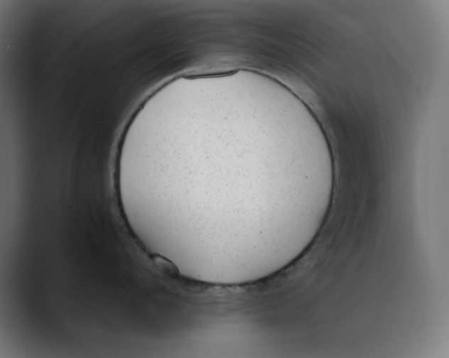 X0000088420912200706191213