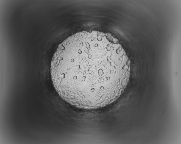 X0000088420917200706191213