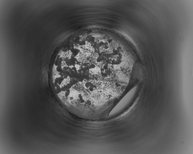 X0000088420921200706191213