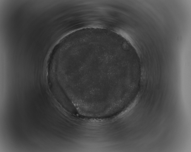 X0000088420923200706191213